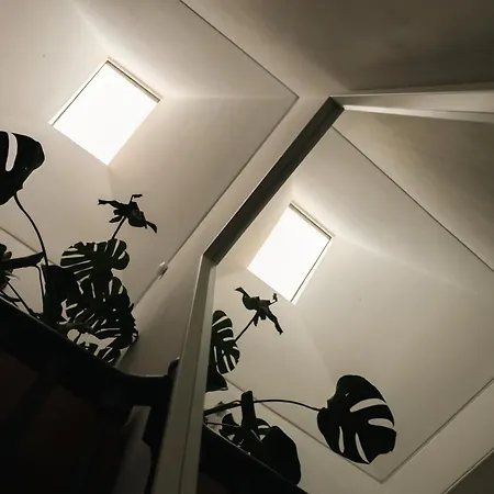 別荘 The Residence, Luxury